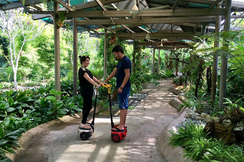Dạo chơi trong khuôn viên Lake Garden
