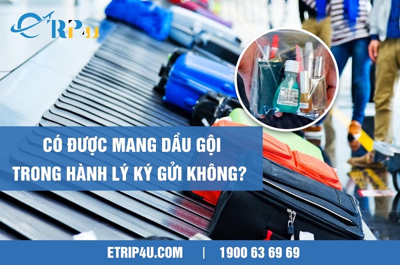 Đi máy bay có được mang dầu gội trong hành lý ký gửi không? Đi máy bay có được mang dầu gội trong hành lý ký gửi không?