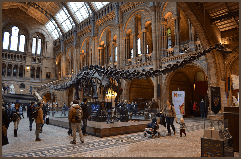 Bảo tàng lịch sử tự nhiên Bảo tàng lịch sử tự nhiên