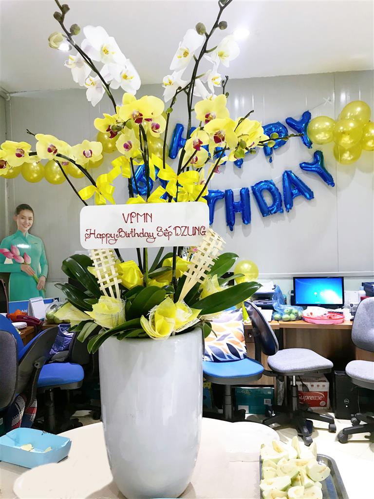 Hoa chúc mừng được gửi từ văn phòng Nam Thanh tại Tp.HCM Hoa chúc mừng được gửi từ văn phòng Nam Thanh tại Tp.HCM