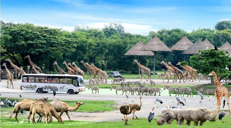 Safari World Bangkok - Vé máy bay Hồ Chí Minh – Bangkok khứ hồi chỉ từ 29 USD Safari World Bangkok