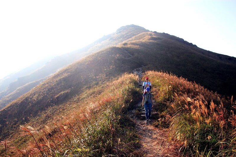 Đường mòn Lưng Rồng