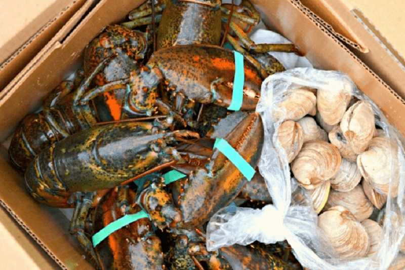 Làm sao để mang theo hải sản lên máy bay Làm sao để mang theo hải sản lên máy bay