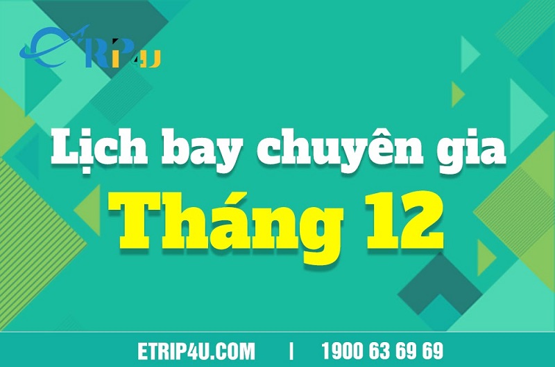 Tổng hợp lịch bay chuyên gia về Việt Nam Tháng 12 Tổng hợp lịch bay chuyên gia về Việt Nam Tháng 12