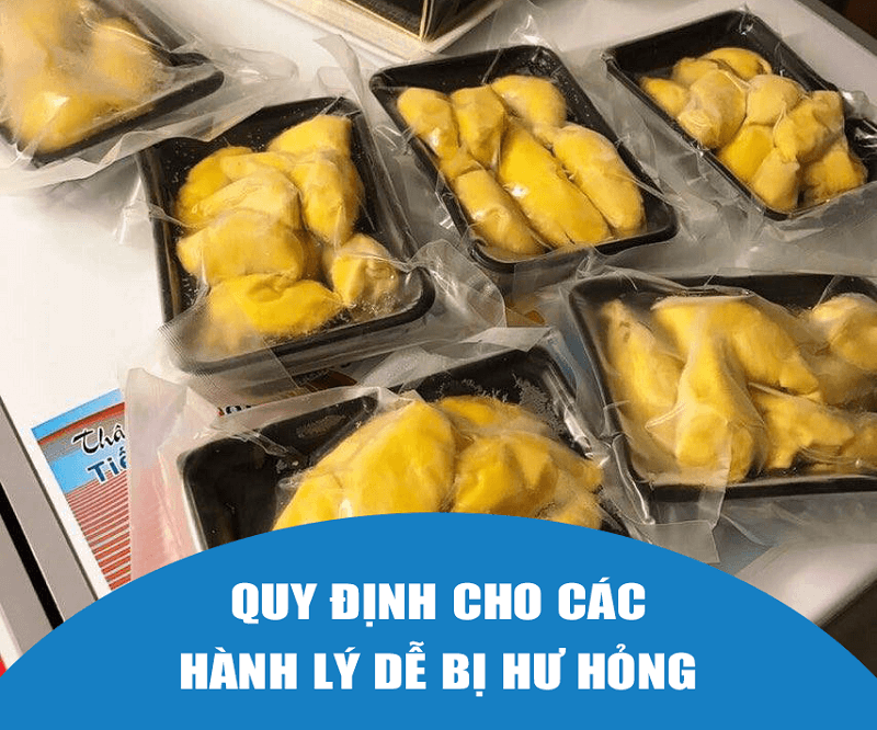 Quy định Bamboo Airways cho các hành lý dễ bị hư hỏng Quy định Bamboo Airways cho các hành lý dễ bị hư hỏng