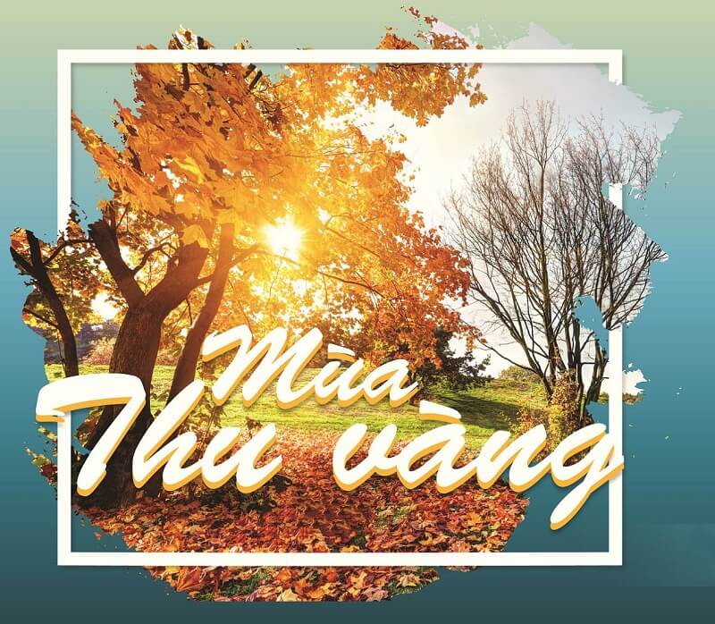 Chương trình khuyến mại Mùa Thu Vàng của Vietnam Airlines Chương trình khuyến mại Mùa Thu Vàng của Vietnam Airlines