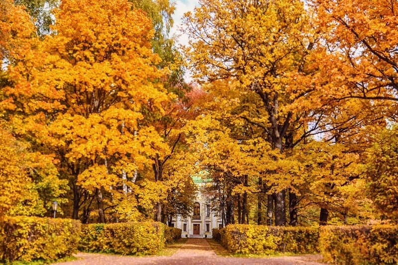 Nga là quốc gia có mùa thu đẹp nhất thế giới Nga là quốc gia có mùa thu đẹp nhất thế giới